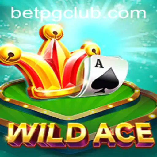 Discovering WildAce: An Exciting Casino Adventure